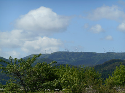 DSCN1412