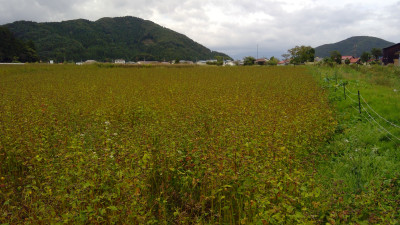 WIN_20251009_13_44_07_Pro